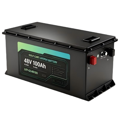 48V LiFePO4 Battery